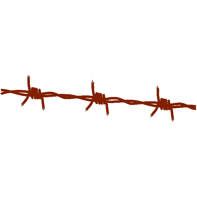 Boundary Survey