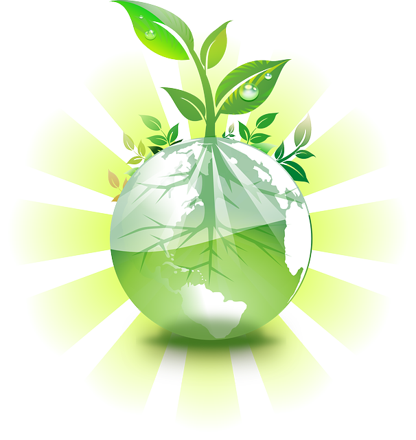 Environmental GIS